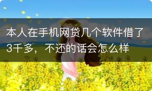 本人在手机网贷几个软件借了3千多，不还的话会怎么样