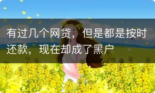 有过几个网贷，但是都是按时还款，现在却成了黑户