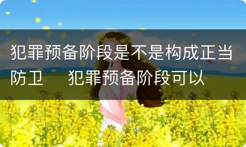 犯罪预备阶段是不是构成正当防卫	 犯罪预备阶段可以正当防卫吗