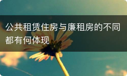 公共租赁住房与廉租房的不同都有何体现