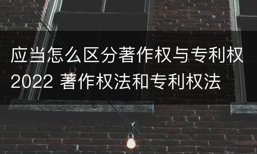 应当怎么区分著作权与专利权2022 著作权法和专利权法