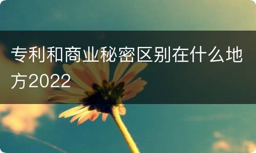 专利和商业秘密区别在什么地方2022