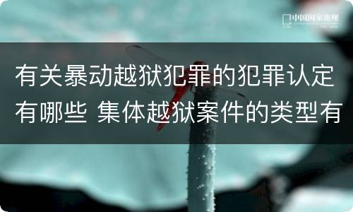 有关暴动越狱犯罪的犯罪认定有哪些 集体越狱案件的类型有(