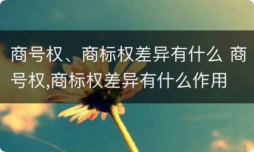 商号权、商标权差异有什么 商号权,商标权差异有什么作用