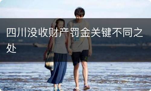 四川没收财产罚金关键不同之处