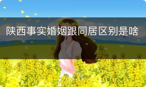 陕西事实婚姻跟同居区别是啥