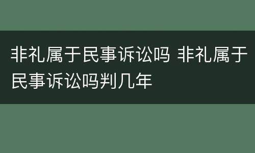 非礼属于民事诉讼吗 非礼属于民事诉讼吗判几年