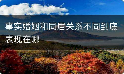 事实婚姻和同居关系不同到底表现在哪