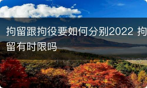 拘留跟拘役要如何分别2022 拘留有时限吗