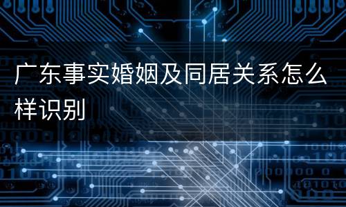 广东事实婚姻及同居关系怎么样识别