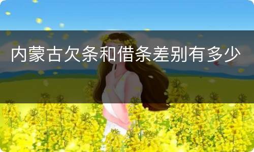 内蒙古欠条和借条差别有多少
