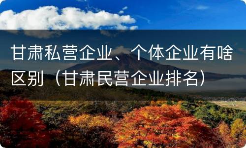 甘肃私营企业、个体企业有啥区别（甘肃民营企业排名）