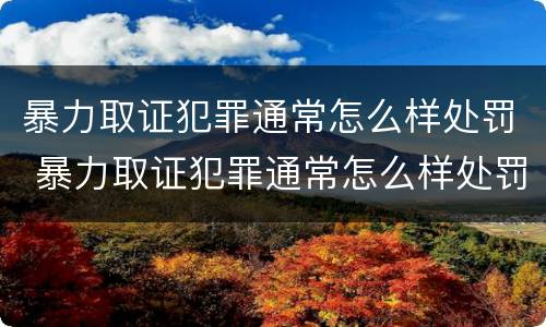 暴力取证犯罪通常怎么样处罚 暴力取证犯罪通常怎么样处罚的