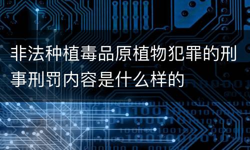 非法种植毒品原植物犯罪的刑事刑罚内容是什么样的