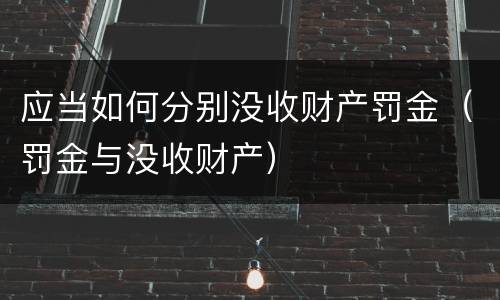 应当如何分别没收财产罚金（罚金与没收财产）