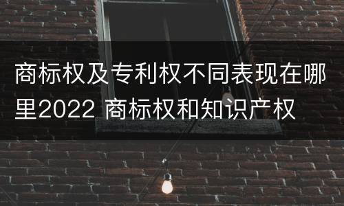 商标权及专利权不同表现在哪里2022 商标权和知识产权