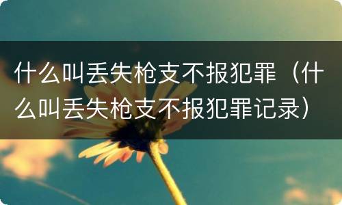 什么叫丢失枪支不报犯罪（什么叫丢失枪支不报犯罪记录）