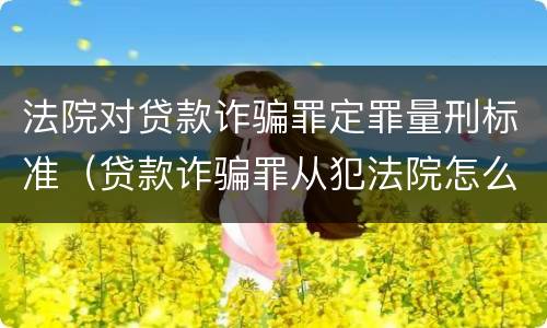 法院对贷款诈骗罪定罪量刑标准（贷款诈骗罪从犯法院怎么量刑）