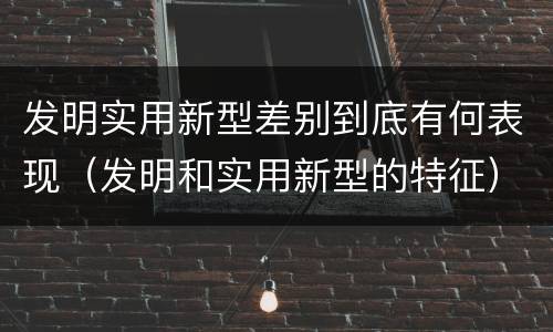 发明实用新型差别到底有何表现（发明和实用新型的特征）