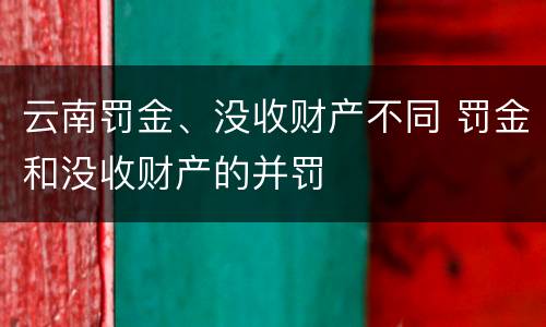 云南罚金、没收财产不同 罚金和没收财产的并罚