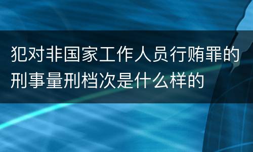 犯对非国家工作人员行贿罪的刑事量刑档次是什么样的