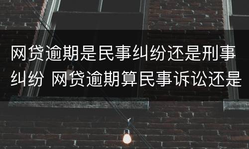 网贷逾期是民事纠纷还是刑事纠纷 网贷逾期算民事诉讼还是刑事