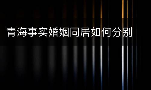 青海事实婚姻同居如何分别
