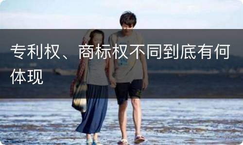 专利权、商标权不同到底有何体现