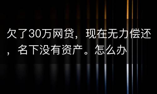 欠了30万网贷，现在无力偿还，名下没有资产。怎么办