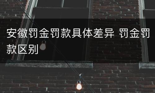 安徽罚金罚款具体差异 罚金罚款区别