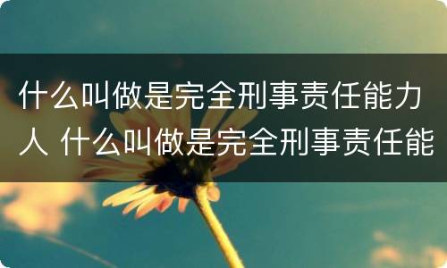 什么叫做是完全刑事责任能力人 什么叫做是完全刑事责任能力人员
