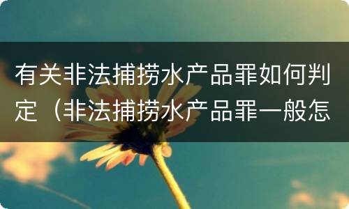 有关非法捕捞水产品罪如何判定（非法捕捞水产品罪一般怎么判）