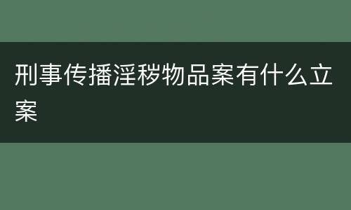刑事传播淫秽物品案有什么立案