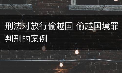 刑法对放行偷越国 偷越国境罪判刑的案例