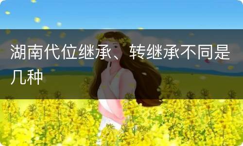湖南代位继承、转继承不同是几种