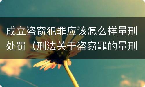 成立盗窃犯罪应该怎么样量刑处罚（刑法关于盗窃罪的量刑）