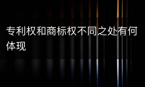 专利权和商标权不同之处有何体现