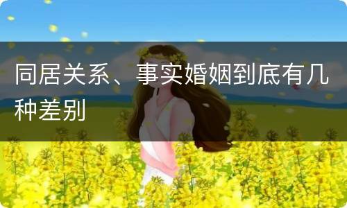 同居关系、事实婚姻到底有几种差别
