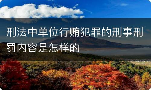 刑法中单位行贿犯罪的刑事刑罚内容是怎样的