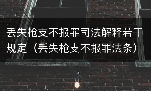丢失枪支不报罪司法解释若干规定（丢失枪支不报罪法条）