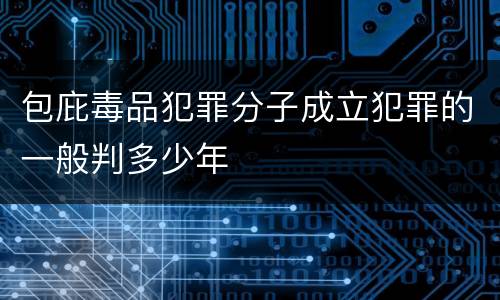 包庇毒品犯罪分子成立犯罪的一般判多少年