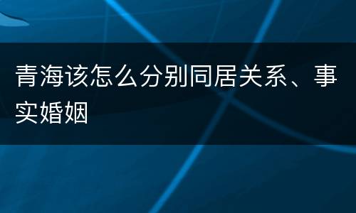 青海该怎么分别同居关系、事实婚姻