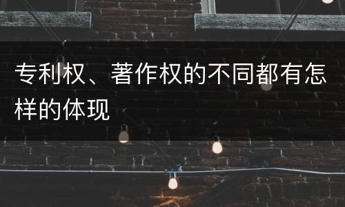 专利权、著作权的不同都有怎样的体现