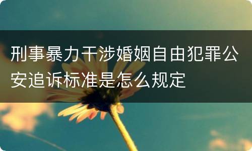 刑事暴力干涉婚姻自由犯罪公安追诉标准是怎么规定