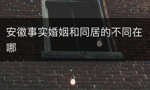 安徽事实婚姻和同居的不同在哪