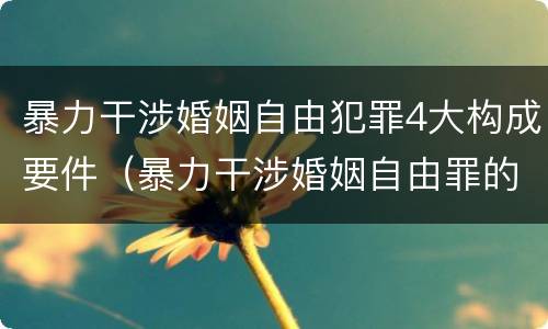 暴力干涉婚姻自由犯罪4大构成要件（暴力干涉婚姻自由罪的构成要件）