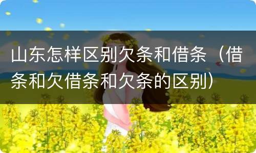 山东怎样区别欠条和借条（借条和欠借条和欠条的区别）