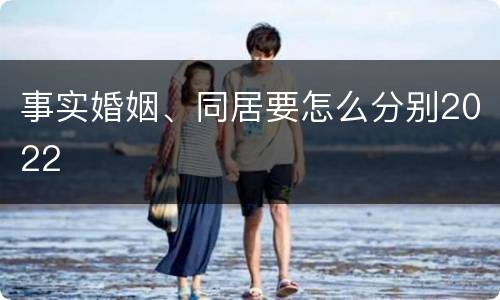 事实婚姻、同居要怎么分别2022
