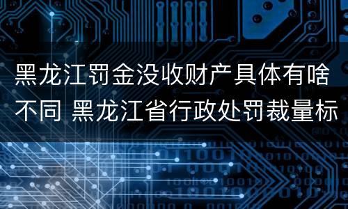 黑龙江罚金没收财产具体有啥不同 黑龙江省行政处罚裁量标准