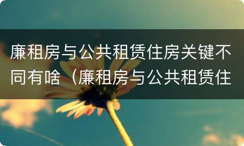廉租房与公共租赁住房关键不同有啥（廉租房与公共租赁住房关键不同有啥影响）
